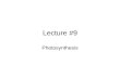 Lecture #9 Photosynthesis. 6 CO 2 + 12 H 2 O + Light energy  C 6 H 12 O 6 + 6 O 2 + 6 H 2 O 1.Light Reactions: light + water = O2 2.Stroma Reactions.