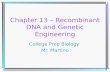 Chapter 13 – Recombinant DNA and Genetic Engineering College Prep Biology Mr. Martino.