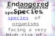 An endangered species is a species of organisms facing a very high risk of extinction.speciesorganismsextinction.