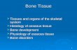 1 Bone Tissue  Tissues and organs of the skeletal system  Histology of osseous tissue  Bone development  Physiology of osseous tissue  Bone disorders.
