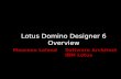 Lotus Domino Designer 6 Overview Maureen LelandSoftware Architect IBM Lotus.