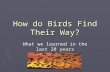 How do Birds Find Their Way? What we learned in the last 20 years.