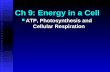 Ch 9: Energy in a Cell ATP, Photosynthesis and Cellular Respiration ATP, Photosynthesis and Cellular Respiration.