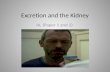 Excretion and the Kidney HL (Paper 1 and 2). Excretion What is excretion? – Elimination of waste from the metabolic processes, to maintain homeostasis.