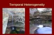 Temporal Heterogeneity. Environmental Heterogeneity/Grain Physical GrainSpatialTemporal Coarse Fine.
