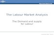Http:// Copyright 2006 – Biz/ed The Labour Market Analysis The Demand and supply for Labour.