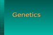 Genetics. Genetic Terms Genotype: genetic makeup (Bb) Phenotype: physical appearance (Black) Heterosis: Genes are different, Dominant & Recessive (Bb)