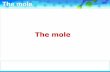 Chemists use the idea of the mole when comparing the number of particles of different substances.