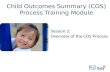 Session 2: Overview of the COS Process Child Outcomes Summary (COS) Process Training Module.