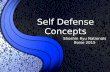 Self Defense Concepts Shoshin Ryu Nationals Boise 2015.
