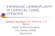 EXPANSIVE LAMINOPLASTY IN CERVICAL CANAL STENOSIS Deepak Agrawal, B S Sharma, V S Mehta Deptt of Neurosurgery, CN Centre, AIIMS, New Delhi.