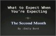 What to Expect When You’re Expecting By :Emily Burd.