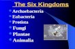 The Six Kingdoms The Six Kingdoms Archaebacteria Eubacteria Protista Fungi Plantae Animalia.