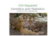Chi-Squared Genetics and Statistics A Tale of Two Hypotheses.