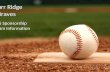 Burr Ridge Braves 2016 Sponsorship Program Information.