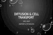 DIFFUSION & CELL TRANSPORT MRS. PAEZ ANATOMY & PHYSIOLOGY.