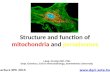 Structure and function of mitochondria and peroxisomes  Lecture EPh 2015 Láng, Orsolya MD, PhD Dept. Genetics, Cell & Immunobiology, Semmelweis.