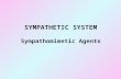 SYMPATHETIC SYSTEM Sympathomimetic Agents. SYMPATHETIC SYSTEM  Mostly activated during stressful situations  Actions can be identified by reactions.