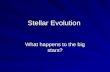 Stellar Evolution What happens to the big stars?.