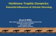 Herbivore Trophic Dynamics: Potential Influences of Climate Warming Brad Griffith USGS, Alaska Cooperative Fish and Wildlife Research Unit University of.