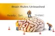 Brain Rules Unleashed Ready, Set, THINK!. Things we will address: Nutrition Sleep Vision Stress Exercise.