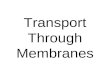 Transport Through Membranes. I.Plasma membrane A.Flexible boundary between cell and its environment. B.Selective Permeability – allows certain molecules.