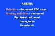 Laboratory evaluation of erythrocyte RBC Haemoglobin Packed cell volume MCV MCH MCHC RDW Reticulocyte Blood film Quantitative description of erythropoiesis.
