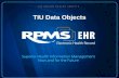 TIU Data Objects. Goals & Objectives Define an object Compare & contrast the difference between TIU objects and VA Health Summary Objects Describe the.