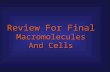 Review For Final Macromolecules And Cells. 48 7 11519 14117136 1 518310 91220162.