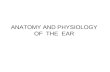 ANATOMY AND PHYSIOLOGY OF THE EAR. EXTERNAL, MIDDLE AND THE INTERNAL EAR 1 - external auditory meatus; 2 - Pinna; 3 – ossicles (malleus; incus; stapes)