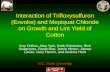 Interaction of Trifloxysulfuron (Envoke) and Mepiquat Chloride on Growth and Lint Yield of Cotton Guy Collins, Alan York, Keith Edmisten, Rick Seagroves,