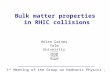 Helen Caines Yale University 1 st Meeting of the Group on Hadronic Physics, Fermi Lab. – Oct. 2004 Bulk matter properties in RHIC collisions.