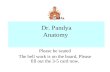 Dr. Pandya Anatomy Please be seated The bell work is on the board, Please fill out the 3-5 card now.