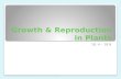 Growth & Reproduction in Plants 18. 4 – 18.8. Flowers have several roles in plant reproduction.
