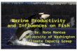 Marine Productivity and Influences on Fish Dr. Nate Mantua University of Washington Climate Impacts Group.