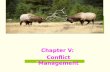 Developing individuals, transforming organizations Chapter V: Conflict Management.