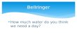 How much water do you think we need a day? Bellringer.