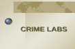 CRIME LABS. Chapter 1 Unit #1 Notes Packet Crime Lab—Basic Services  Location where a group of criminalists and law enforcement agencies freely exchange.