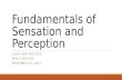 Fundamentals of Sensation and Perception LIGHT AND THE EYES ERIK CHEVRIER NOVEMBER 10, 2015.