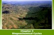 Chapter 3 Biogeochemical Cycles. Matter cycles through the biosphere Biosphere- The combination of all ecosystems on Earth. Biogeochemical cycles- The.