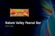 Nature Valley Peanut Bar FOOD LABEL. Top 3 Ingredients of the Peanut Bar 1)Roasted Peanuts 2)Corn Syrup 3)Sugar.