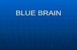 BLUE BRAIN. CONTENTS 1.INTRODUCTION 2.WHAT IS BLUE BRAIN 3.WHAT IS VIRTUAL BRAIN 4.FUNCTION OF NATURAL BRAIN 5.BRAIN SIMULATION 6.BLUE BRAIN OBJECTIVES.