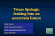 Texas Springs: leaking into an uncertain future Chad Norris Water Resources Branch Chad.norris@tpwd.state.tx.us (512) 389-8761.