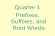 Quarter 1 Prefixes, Suffixes, and Root Words. hydro-