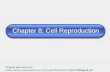 Chapter 8: Cell Reproduction Original slide set from:  8.ppt.
