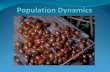Population Dynamics Population dynamics is the study of the long term changes in population sizes and the factors that cause a change. The current focus.