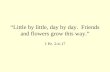 “ Little by little, day by day. Friends and flowers grow this way. ” 1 Pe. 2:4-17.