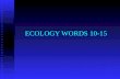 ECOLOGY WORDS 10-15 10. PRODUCER- - Organisms that contribute to the food chain - Organisms that contribute to the food chain - Producers perform photosynthesis.