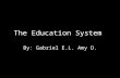 The Education System By: Gabriel E.L. Amy O.. Education and Prosperity The prosperity of the 1950s led to a belief that education would contribute to.