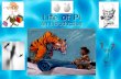 Life of Pi An Introduction. BIOGRAPHY  Yann Martel was born in Spain in 1963.  Parents were Canadian and travelled around the world.  Yann travelled.